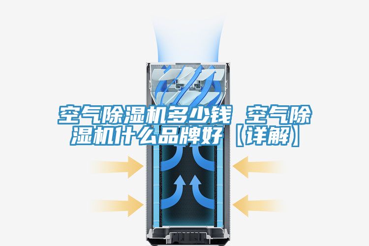 亚洲欧美一级特黄大片 空气除湿机多少钱 空气除湿机什么品牌好【详解】
