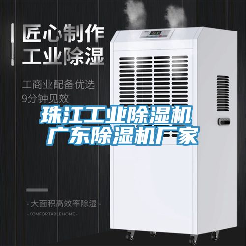 亚洲人成综合第一网站 珠江工业除湿机 广东除湿机厂家