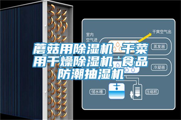 亚洲人成综合第一网站 蘑菇用除湿机 干菜用干燥除湿机 食品防潮抽湿机