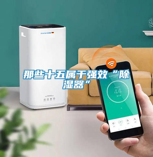 亚洲欧美一级特黄大片 那些十五属于强效“除湿器”