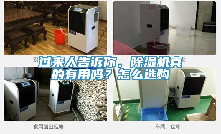 亚洲人成综合第一网站 过来人告诉你，除湿机真的有用吗？怎么选购