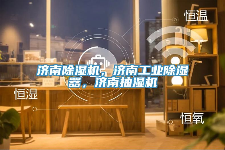 亚洲欧美一级特黄大片 济南除湿机，济南工业除湿器，济南抽湿机