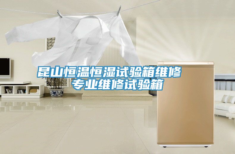 亚洲乱码一区二区三区 昆山恒温恒湿试验箱维修  专业维修试验箱