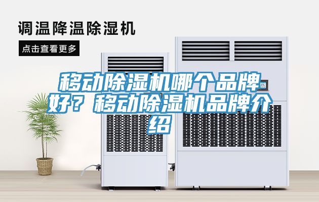 亚洲人成综合第一网站 移动除湿机哪个品牌好？移动除湿机品牌介绍