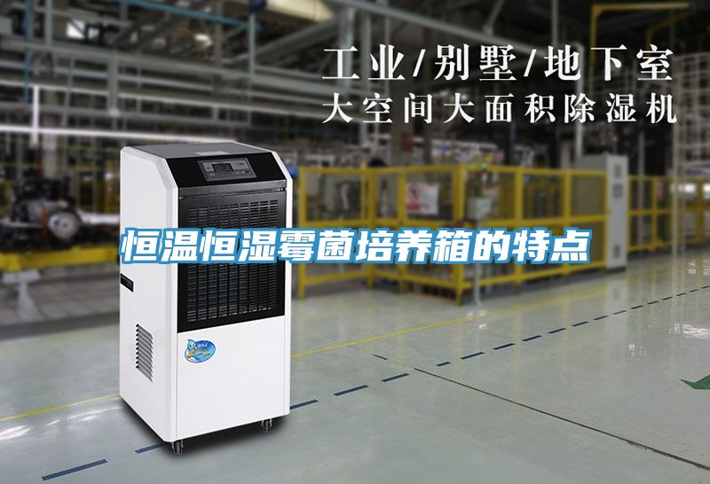 亚洲乱码一区二区三区 恒温恒湿霉菌培养箱的特点