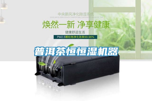 亚洲人成综合第一网站 普洱茶恒恒湿机器