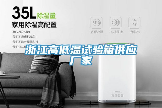 亚洲人成综合第一网站 浙江高低温试验箱供应厂家