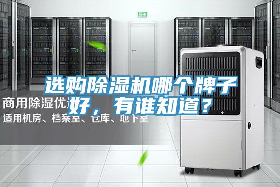 亚洲人成综合第一网站 选购除湿机哪个牌子好，有谁知道？
