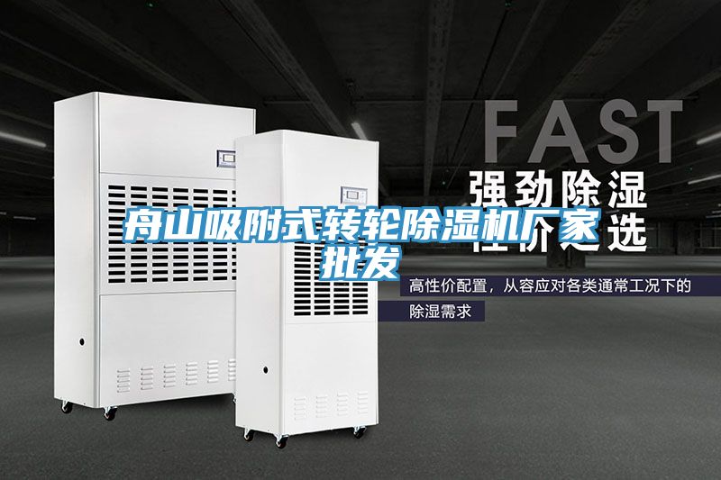 亚洲人成综合第一网站 舟山吸附式转轮除湿机厂家批发