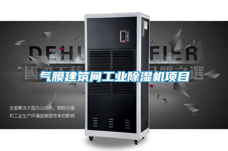 亚洲乱码一区二区三区 气膜建筑间工业除湿机项目