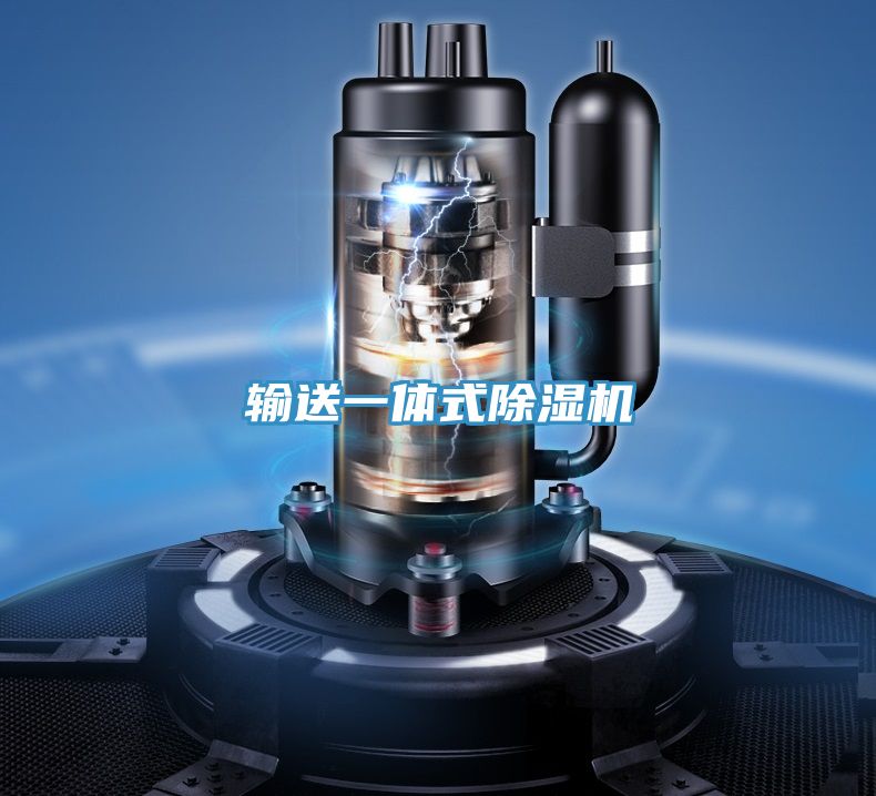 亚洲欧美一级特黄大片 输送一体式除湿机