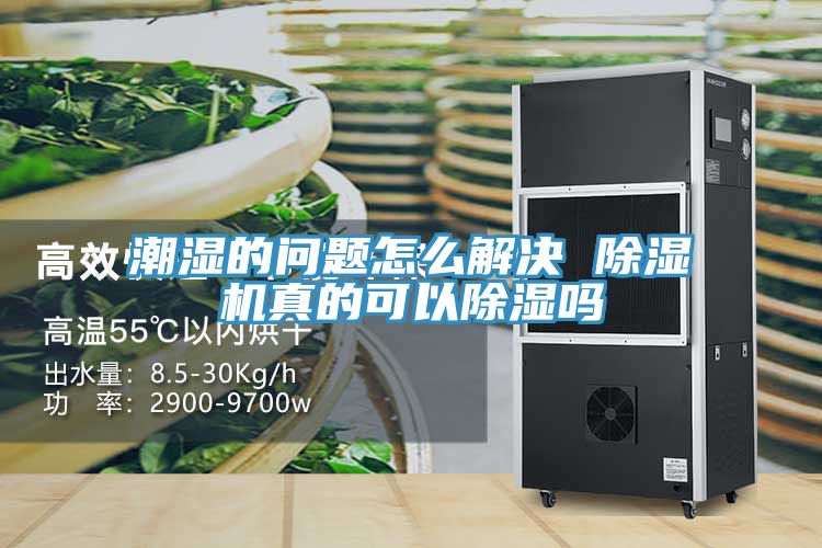 亚洲人成综合第一网站 潮湿的问题怎么解决 除湿机真的可以除湿吗