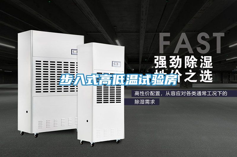 亚洲人成综合第一网站 步入式高低温试验房