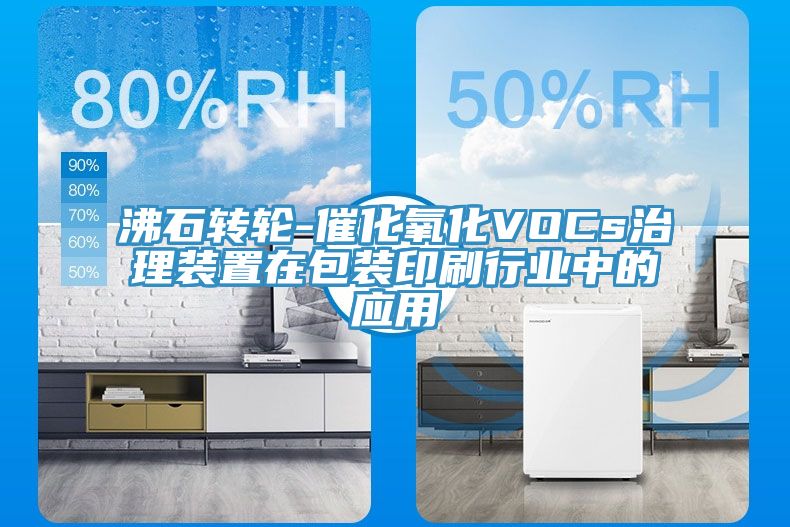 亚洲欧美一级特黄大片 沸石转轮-催化氧化VOCs治理装置在包装印刷行业中的应用