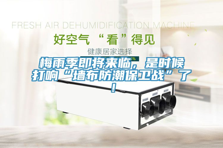 亚洲欧美一级特黄大片 梅雨季即将来临，是时候打响“墙布防潮保卫战”了！