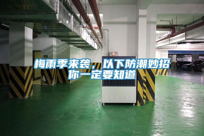 亚洲人成综合第一网站 梅雨季来袭，以下防潮妙招你一定要知道