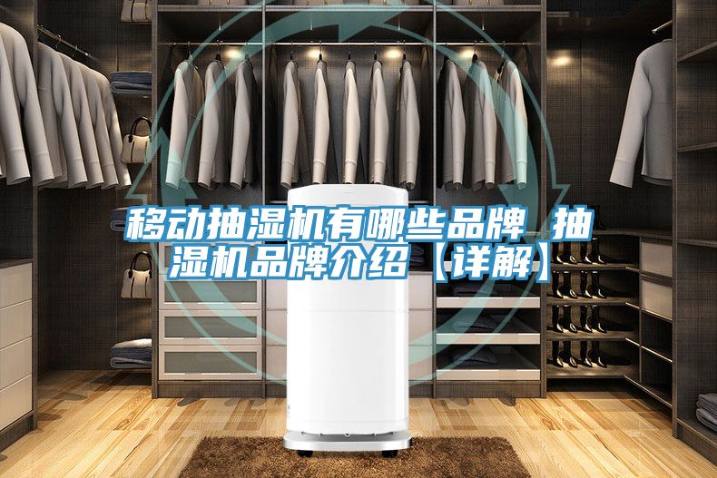 亚洲人成综合第一网站 移动抽湿机有哪些品牌 抽湿机品牌介绍【详解】