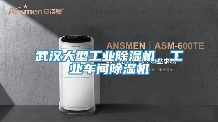 亚洲欧美一级特黄大片 武汉大型工业除湿机，工业车间除湿机