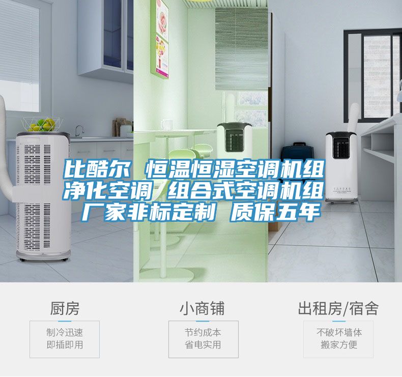 比酷尔 恒温恒湿空调机组 净化空调 组合式空调机组 厂家非标定制 质保五年