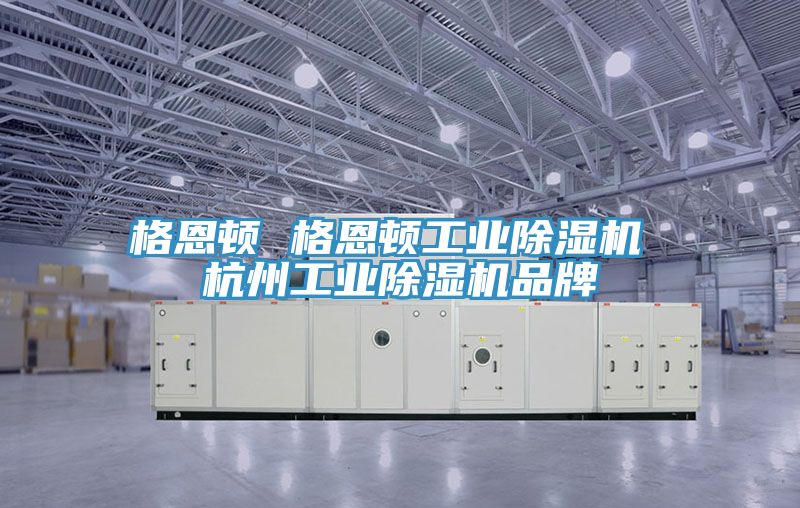 亚洲人成综合第一网站 格恩顿 格恩顿工业除湿机 杭州工业除湿机品牌