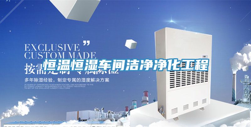 亚洲人成综合第一网站 恒温恒湿车间洁净净化工程