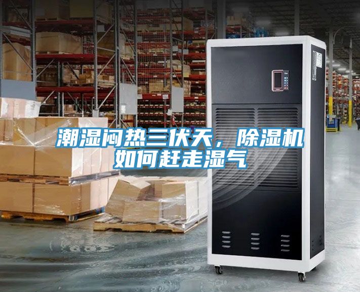 亚洲欧美一级特黄大片 潮湿闷热三伏天，除湿机如何赶走湿气