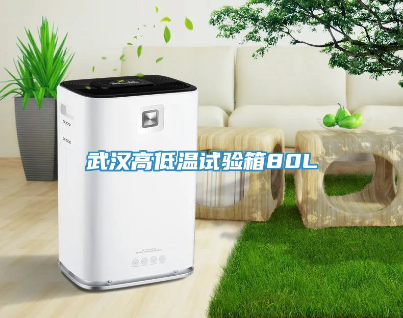 亚洲人成综合第一网站 武汉高低温试验箱80L