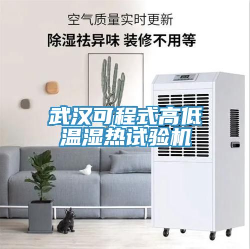 亚洲乱码一区二区三区 武汉可程式高低温湿热试验机