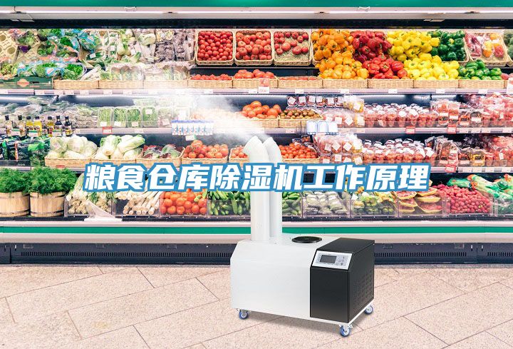 亚洲人成综合第一网站 粮食仓库除湿机工作原理