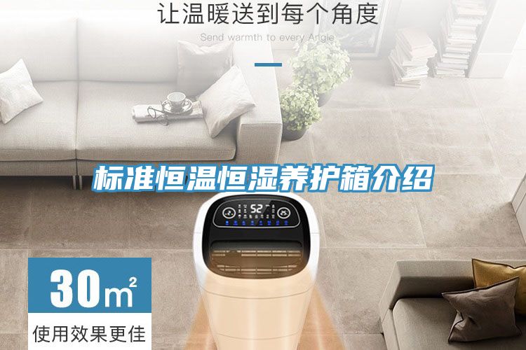 亚洲欧美一级特黄大片 标准恒温恒湿养护箱介绍