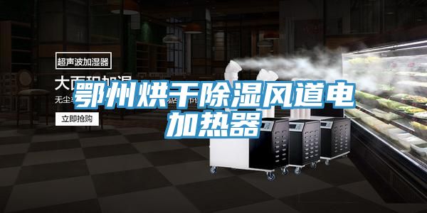 亚洲欧美一级特黄大片 鄂州烘干除湿风道电加热器