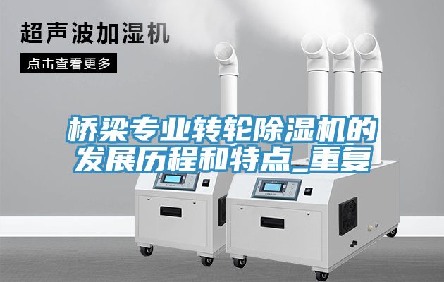 亚洲乱码一区二区三区 桥梁专业转轮除湿机的发展历程和特点_重复