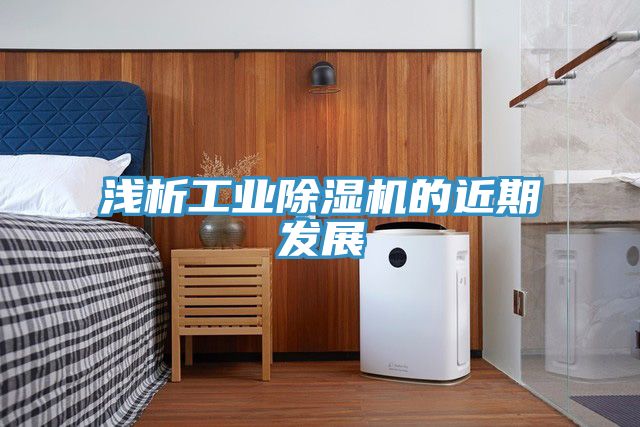 亚洲乱码一区二区三区 浅析工业除湿机的近期发展