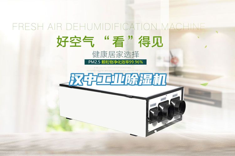 亚洲欧美一级特黄大片 汉中工业除湿机