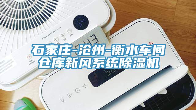亚洲人成综合第一网站 石家庄-沧州-衡水车间仓库新风系统除湿机