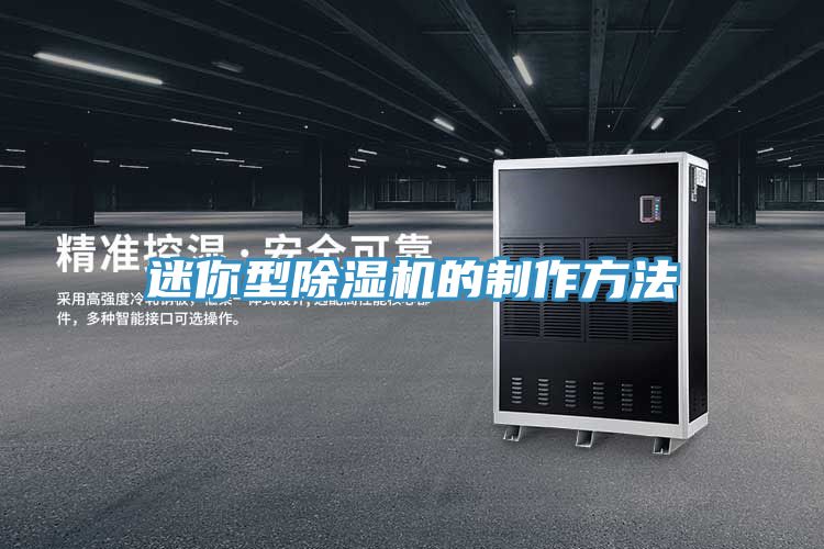 亚洲欧美一级特黄大片 迷你型除湿机的制作方法