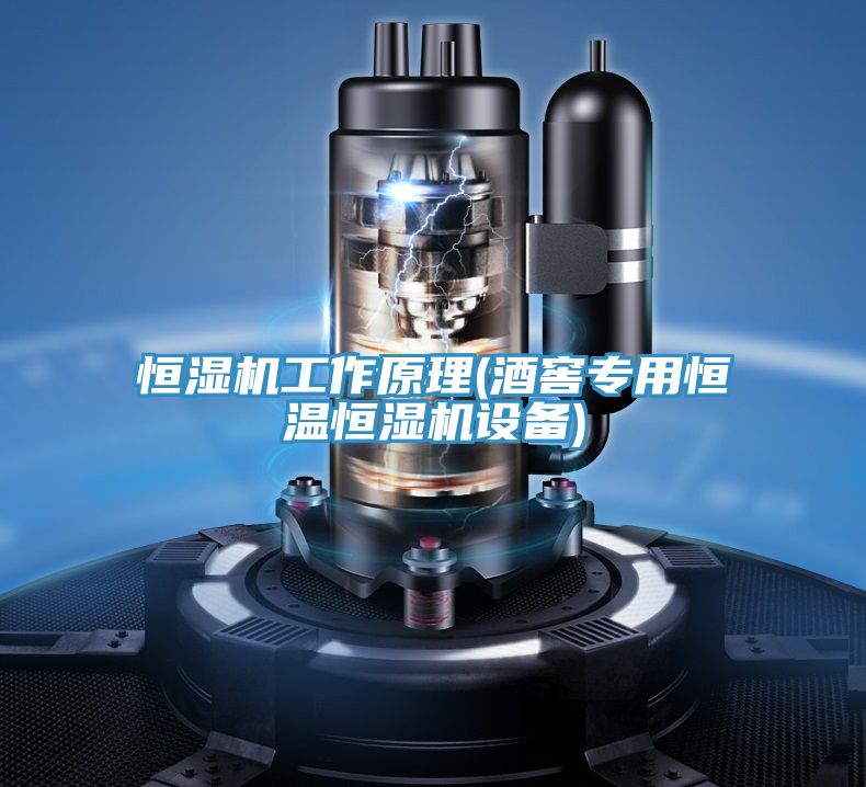 亚洲欧美一级特黄大片 恒湿机工作原理(酒窖专用恒温恒湿机设备)