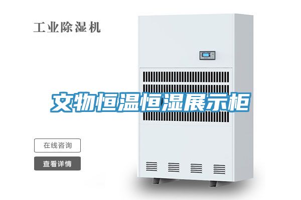 亚洲欧美一级特黄大片 文物恒温恒湿展示柜