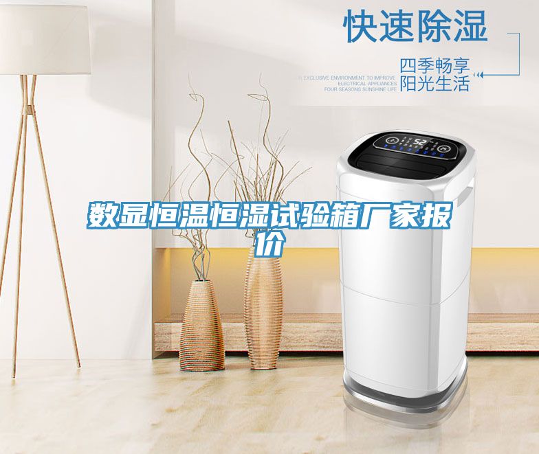 亚洲人成综合第一网站 数显恒温恒湿试验箱厂家报价