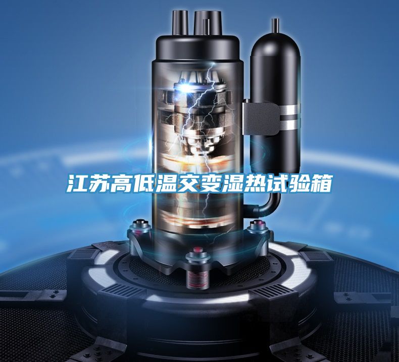 亚洲欧美一级特黄大片 江苏高低温交变湿热试验箱
