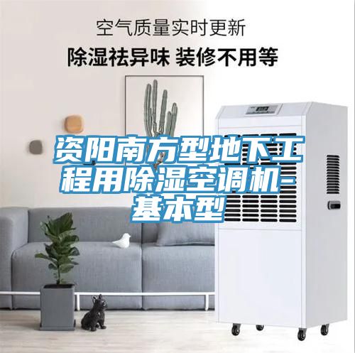 亚洲人成综合第一网站 资阳南方型地下工程用除湿空调机-基本型