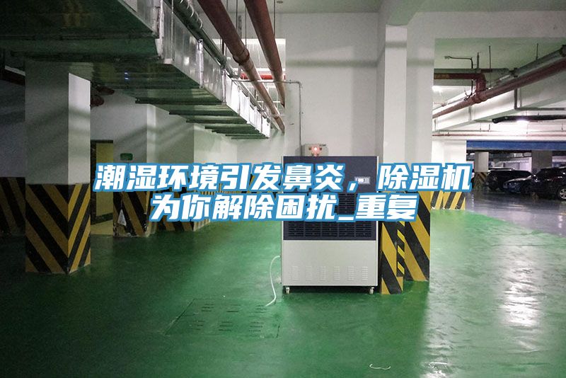 亚洲人成综合第一网站 潮湿环境引发鼻炎，除湿机为你解除困扰_重复
