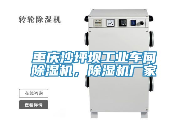 亚洲人成综合第一网站 重庆沙坪坝工业车间除湿机，除湿机厂家