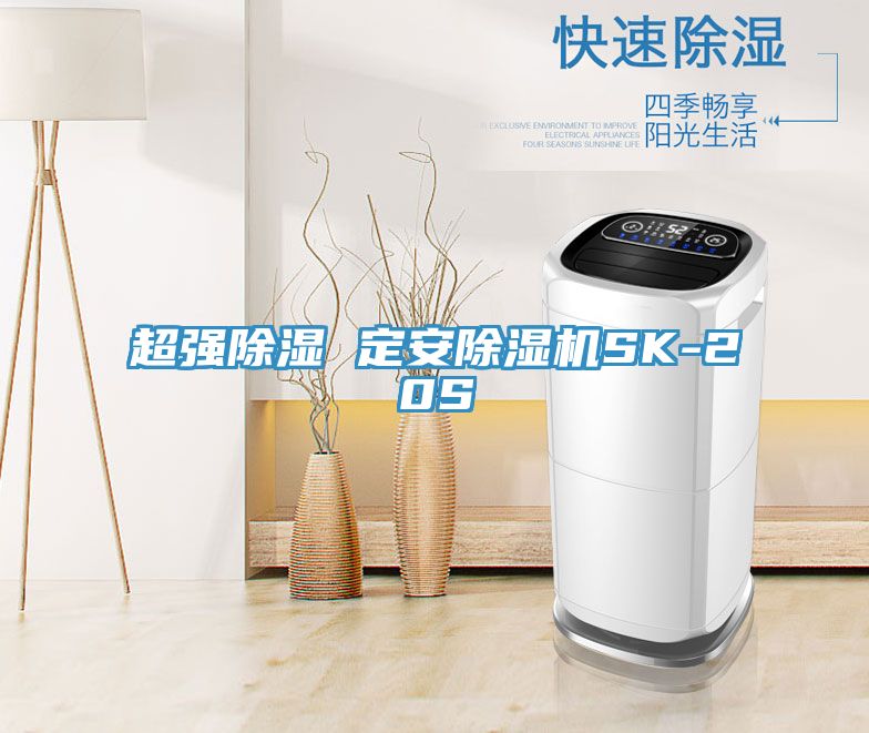 亚洲乱码一区二区三区 超强除湿 定安除湿机SK-20S
