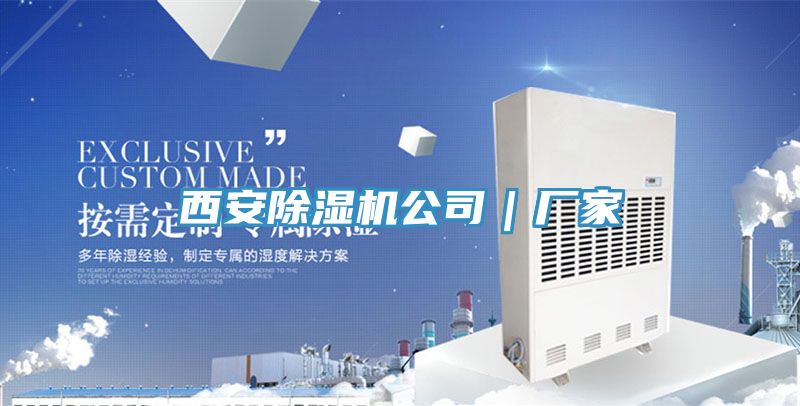 亚洲欧美一级特黄大片 西安除湿机公司｜厂家