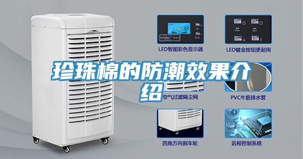 亚洲人成综合第一网站 珍珠棉的防潮效果介绍