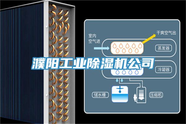 亚洲乱码一区二区三区 濮阳工业除湿机公司