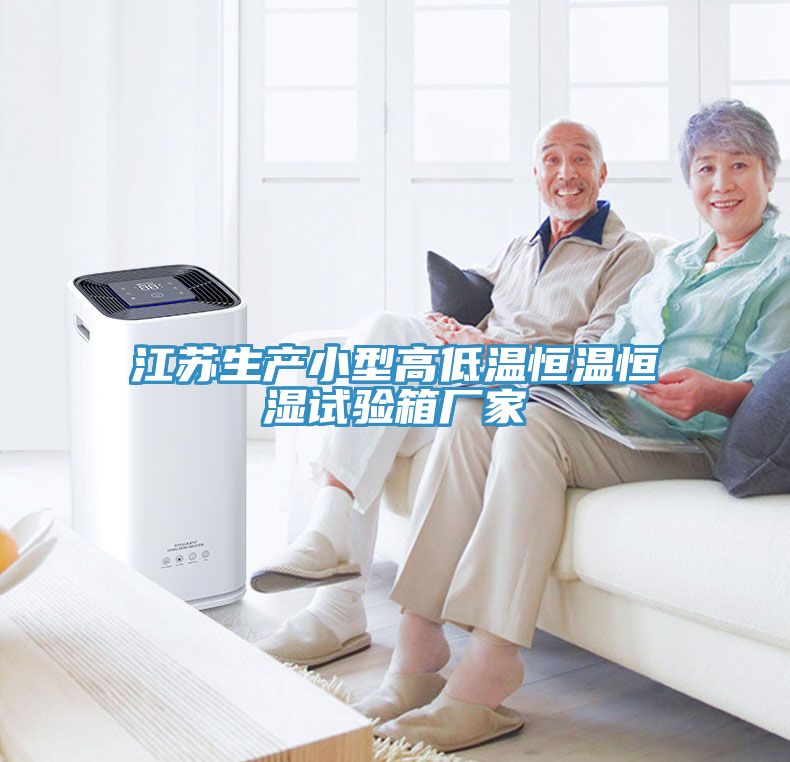 亚洲欧美一级特黄大片 江苏生产小型高低温恒温恒湿试验箱厂家