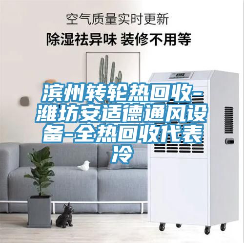 亚洲人成综合第一网站 滨州转轮热回收-潍坊安适德通风设备-全热回收代表冷
