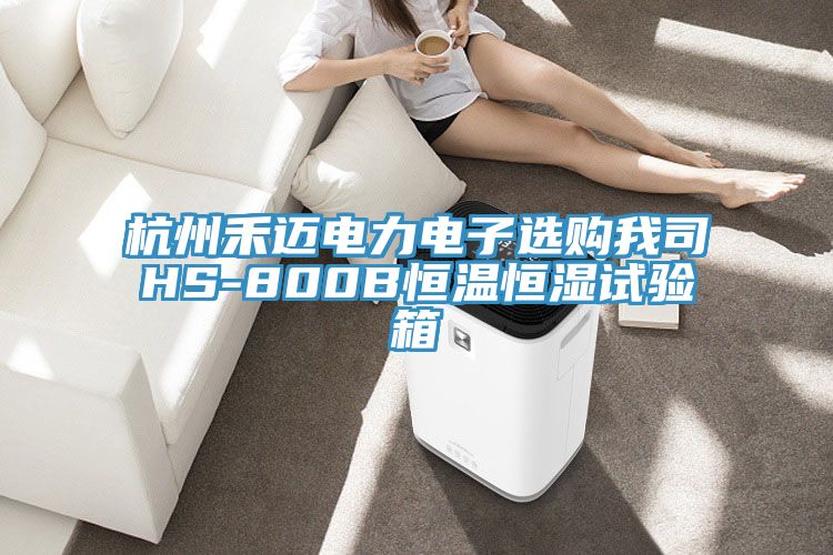 亚洲人成综合第一网站 杭州禾迈电力电子选购我司HS-800B恒温恒湿试验箱
